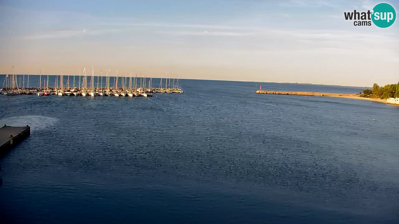 Web kamera Sistiana Uvala – Pogled uživo na marinu i zaljev