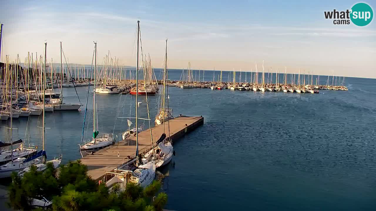 Webcam Bahía de Sistiana – Vista en directo del puerto deportivo y la costa