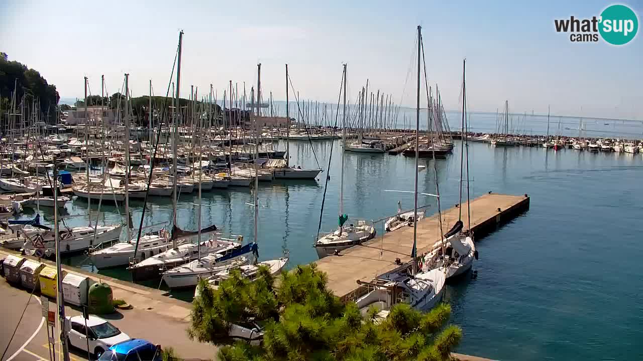 Web kamera Sistiana Uvala – Pogled uživo na marinu i zaljev