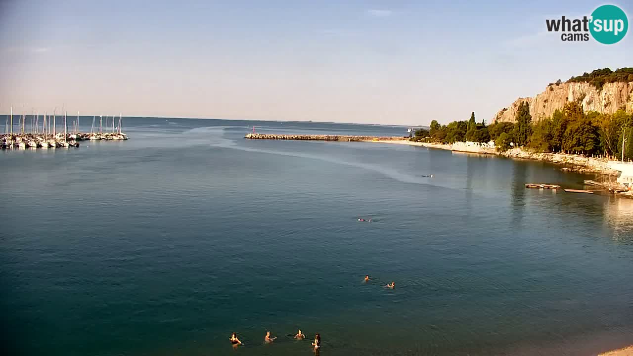 Webcam Sistiana Baia – Live View of the Marina and Gulf