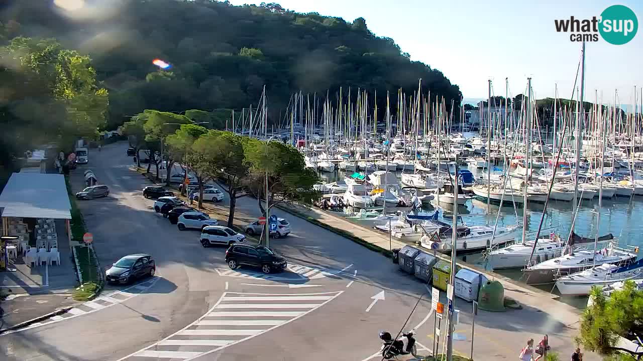 Webcam Bahía de Sistiana – Vista en directo del puerto deportivo y la costa