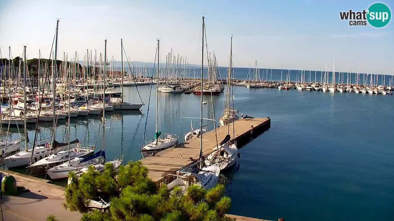 Webcam Sistiana Baia – Live View of the Marina and Gulf
