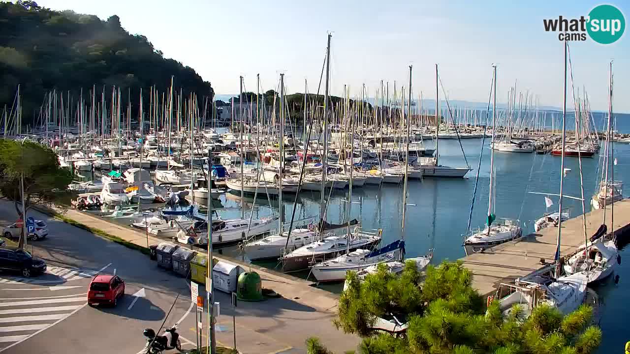 Webcam Bahía de Sistiana – Vista en directo del puerto deportivo y la costa