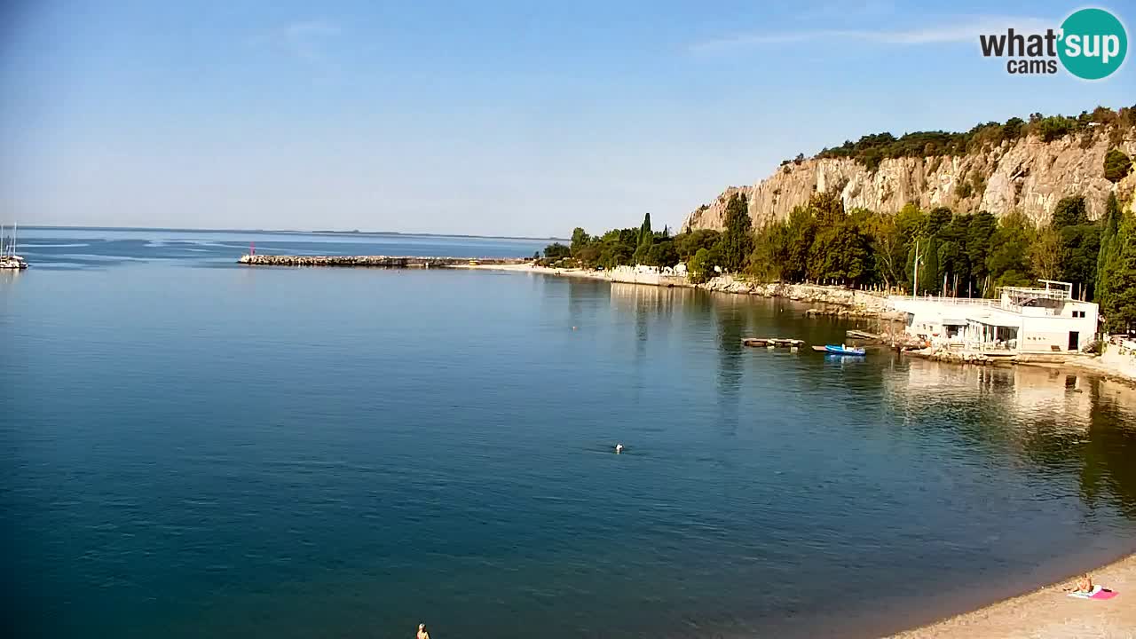 Webcam Sistiana Baia – Live View of the Marina and Gulf