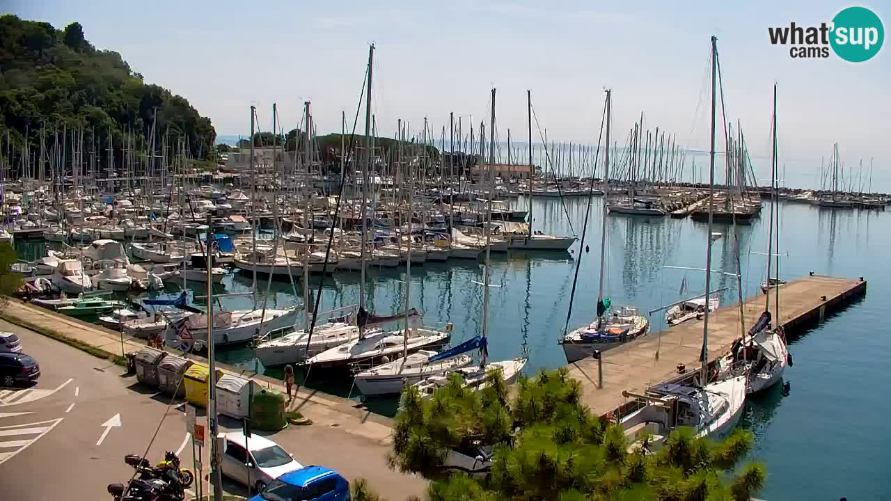 Spletna kamera Sesljanski zaliv – Pogled v živo na marino in zaliv
