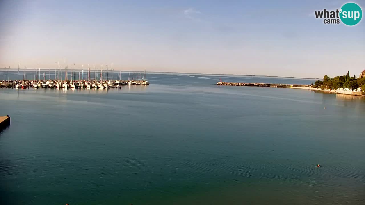 Webcam Sistiana Baia – Live View of the Marina and Gulf