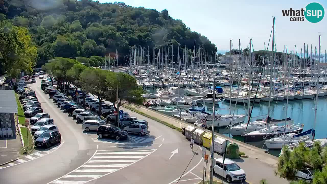 Webcam Sistiana Baia – Live View of the Marina and Gulf