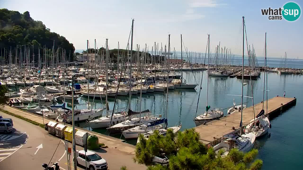 Webcam Sistiana Baia – Live View of the Marina and Gulf
