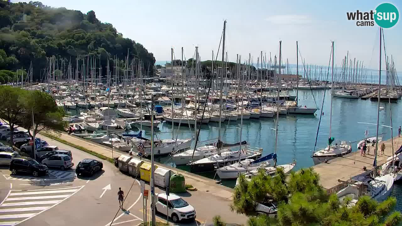 Spletna kamera Sesljanski zaliv – Pogled v živo na marino in zaliv