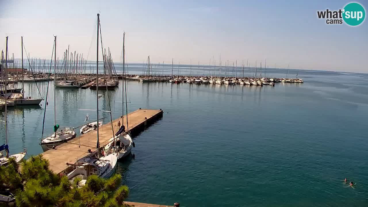 Spletna kamera Sesljanski zaliv – Pogled v živo na marino in zaliv