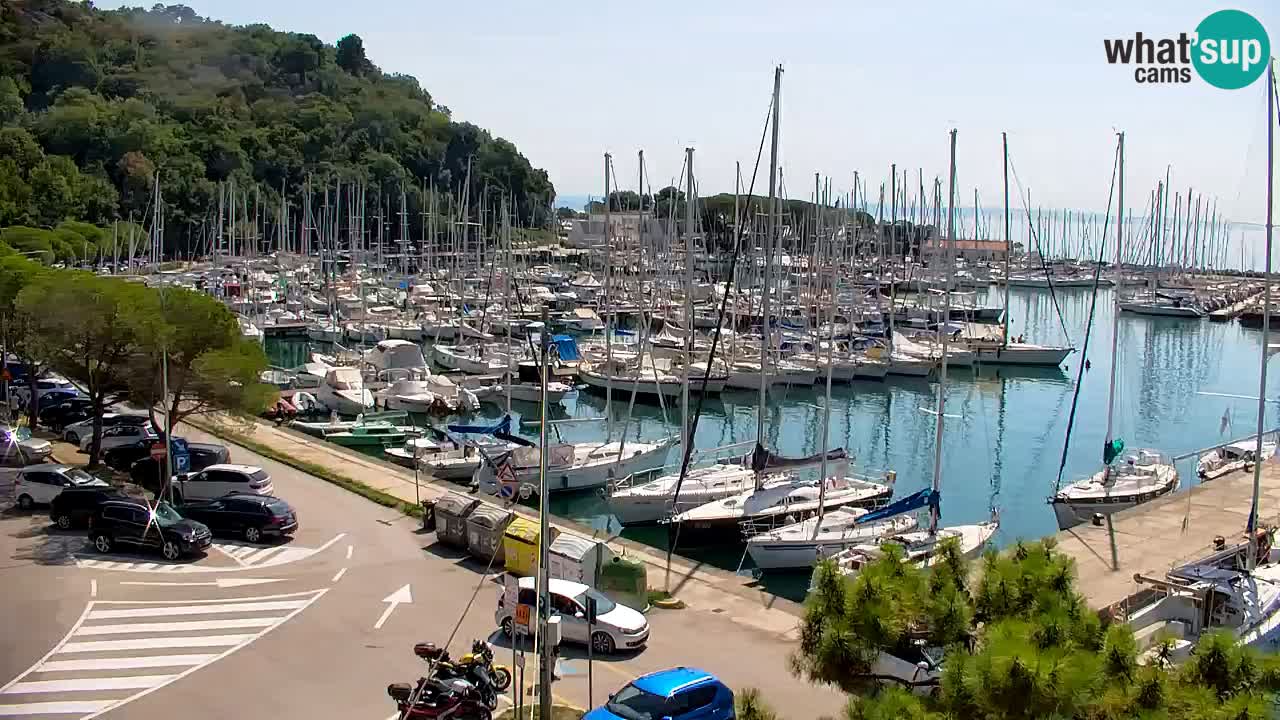 Spletna kamera Sesljanski zaliv – Pogled v živo na marino in zaliv
