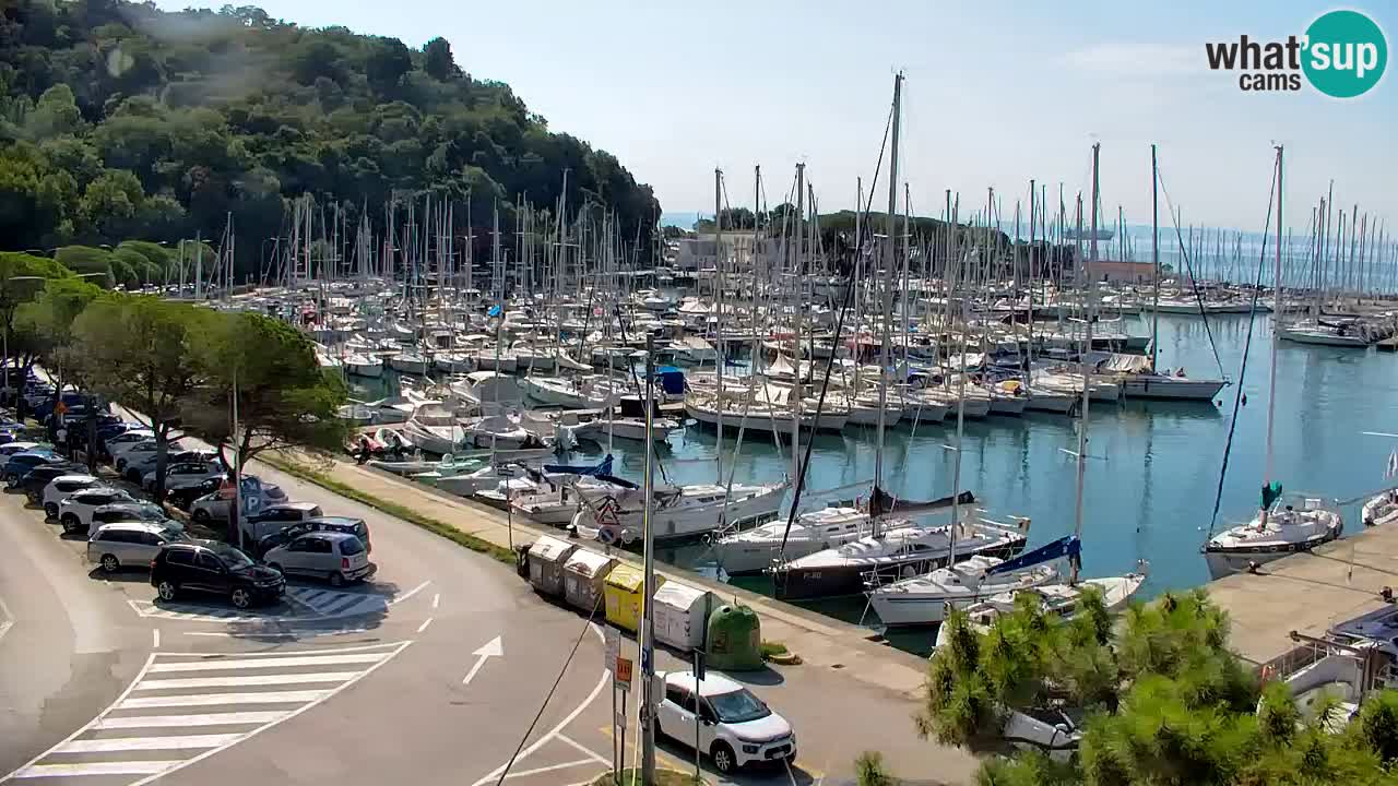Spletna kamera Sesljanski zaliv – Pogled v živo na marino in zaliv