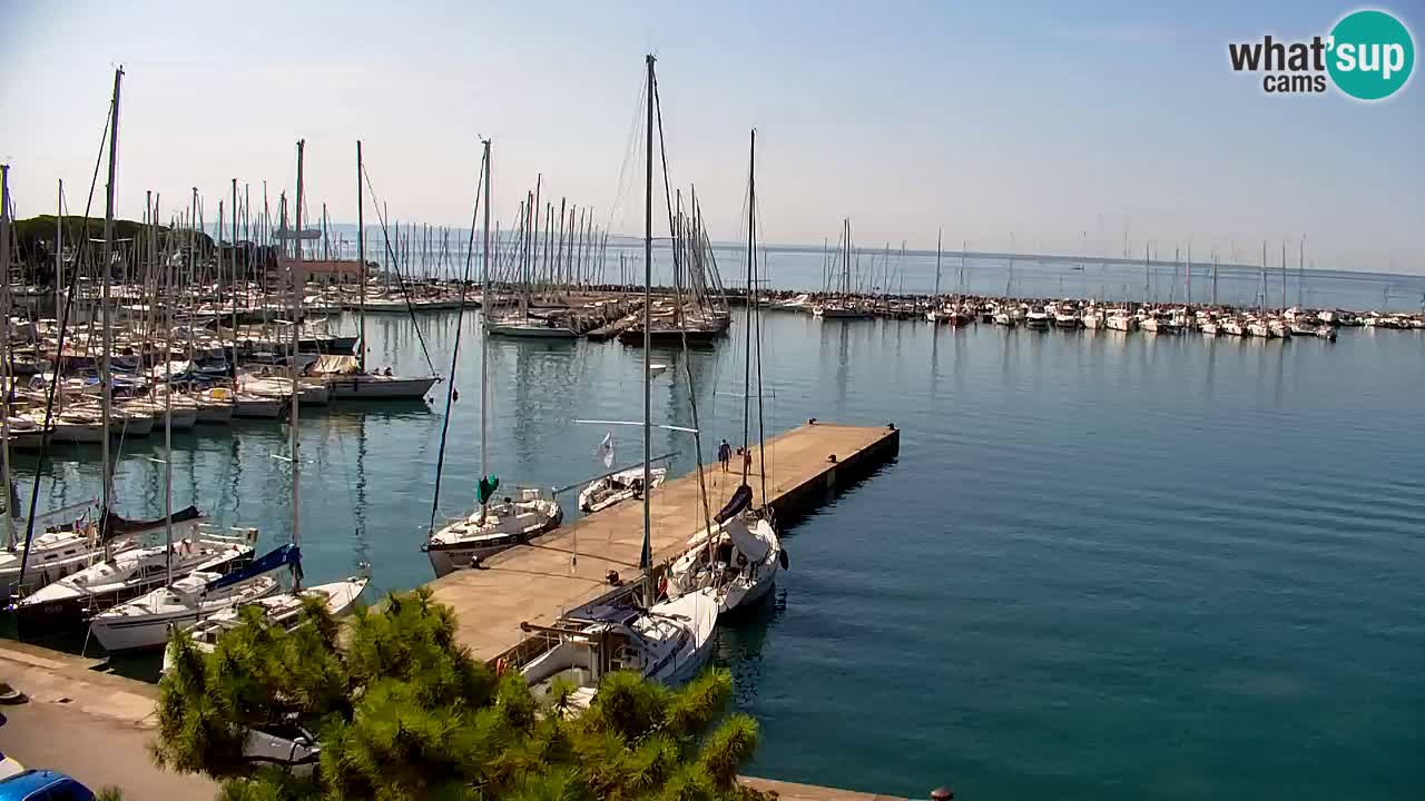 Webcam Baie de Sistiana – Vue en direct de la marina et de la baie
