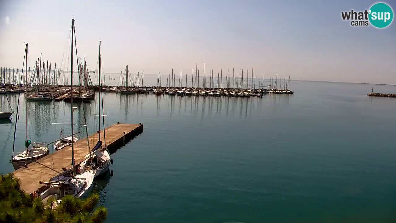 Web kamera Sistiana Uvala – Pogled uživo na marinu i zaljev