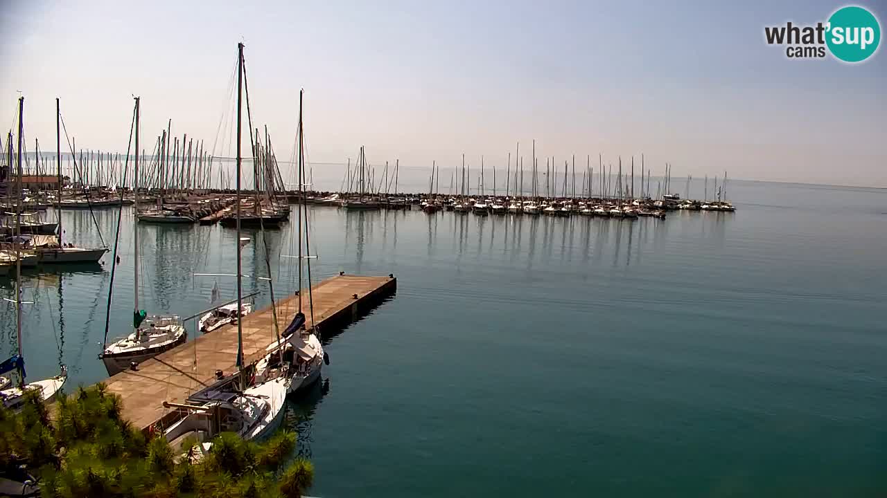Web kamera Sistiana Uvala – Pogled uživo na marinu i zaljev