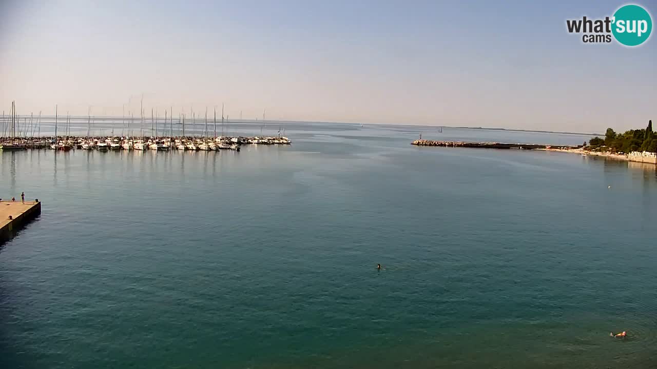Webcam Sistiana Bucht – Liveblick auf Marina und Bucht