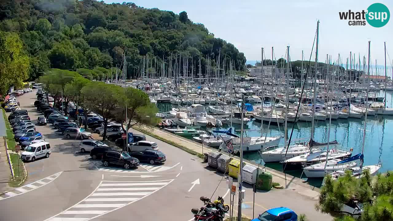 Spletna kamera Sesljanski zaliv – Pogled v živo na marino in zaliv