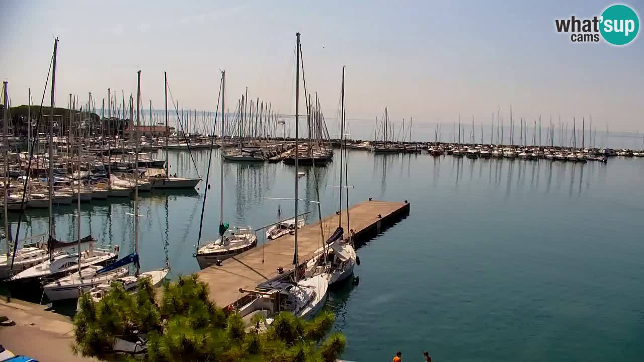 Web kamera Sistiana Uvala – Pogled uživo na marinu i zaljev