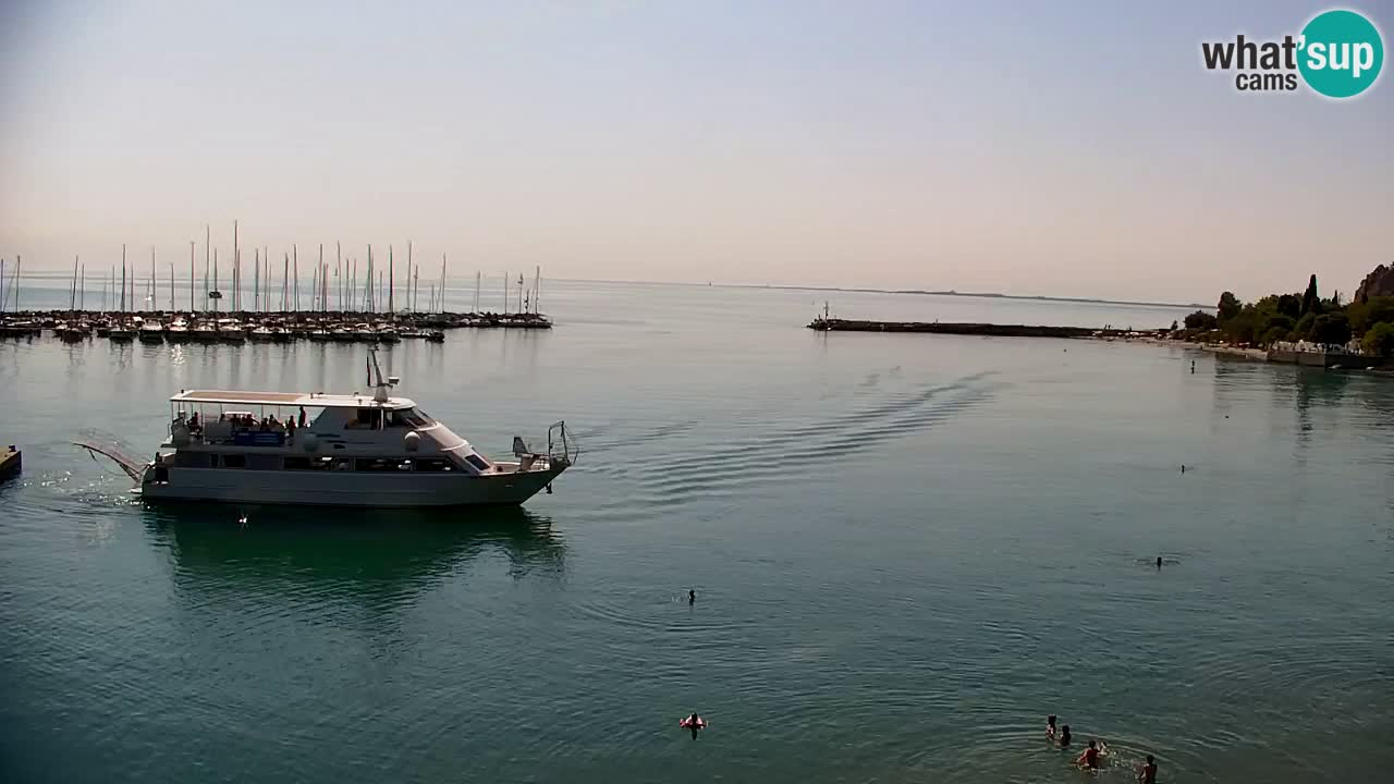 Webcam Sistiana Baia – Live View of the Marina and Gulf