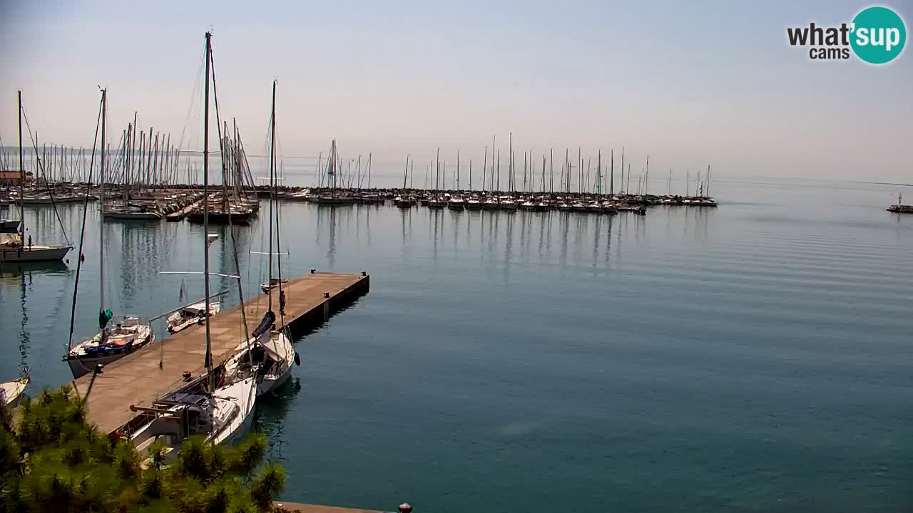 Webcam Sistiana Baia – Live View of the Marina and Gulf