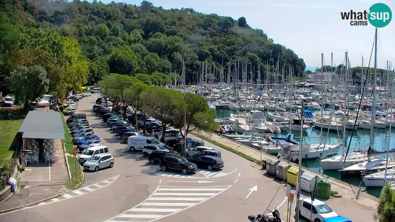 Spletna kamera Sesljanski zaliv – Pogled v živo na marino in zaliv