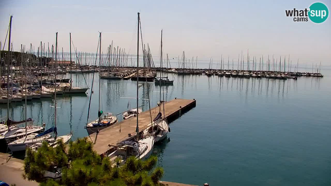 Web kamera Sistiana Uvala – Pogled uživo na marinu i zaljev