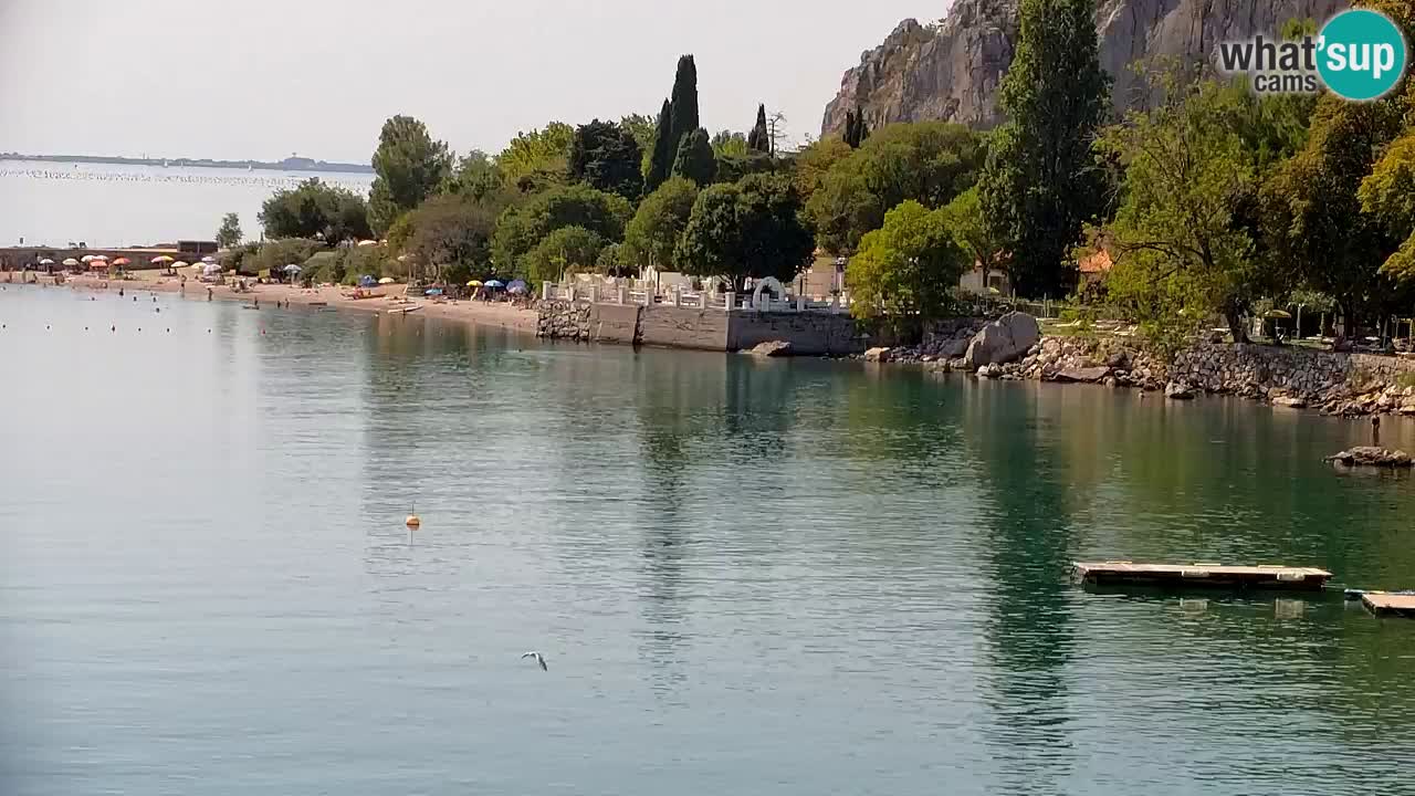 Web kamera Sistiana Uvala – Pogled uživo na marinu i zaljev