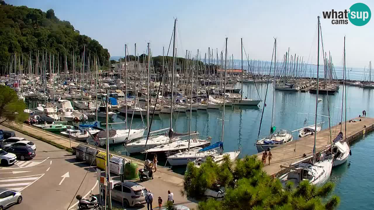 Spletna kamera Sesljanski zaliv – Pogled v živo na marino in zaliv