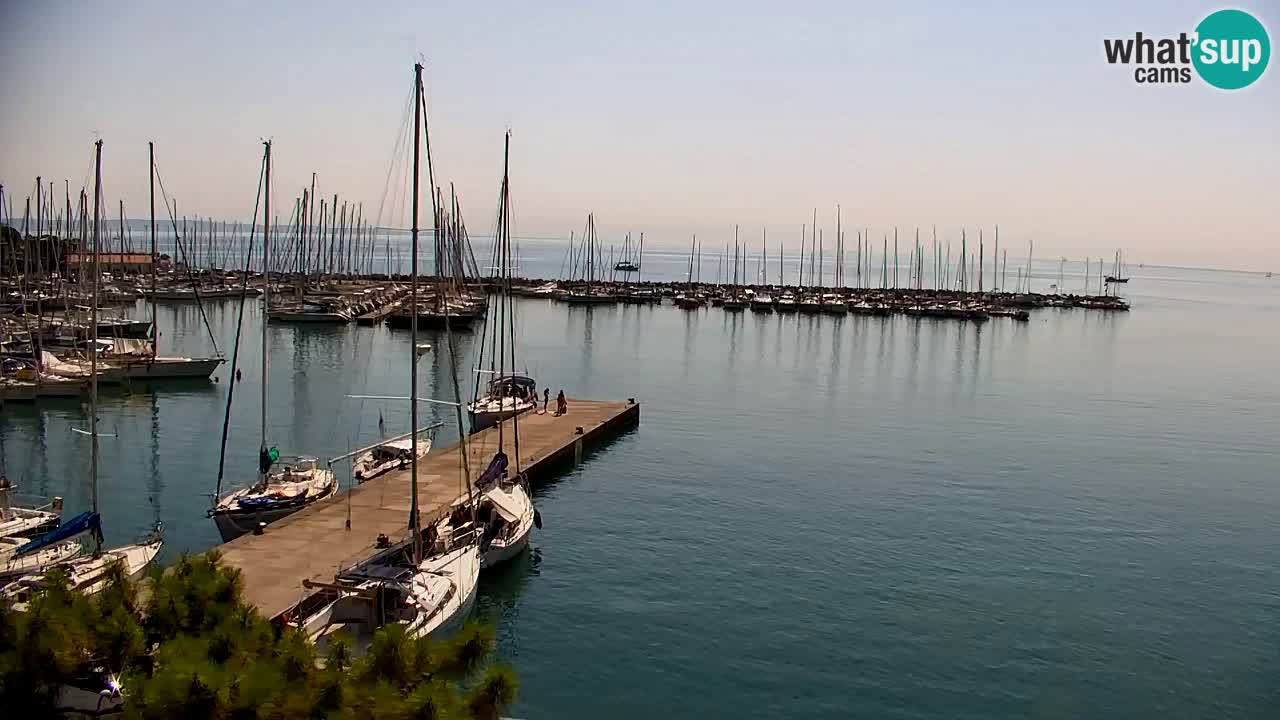 Spletna kamera Sesljanski zaliv – Pogled v živo na marino in zaliv