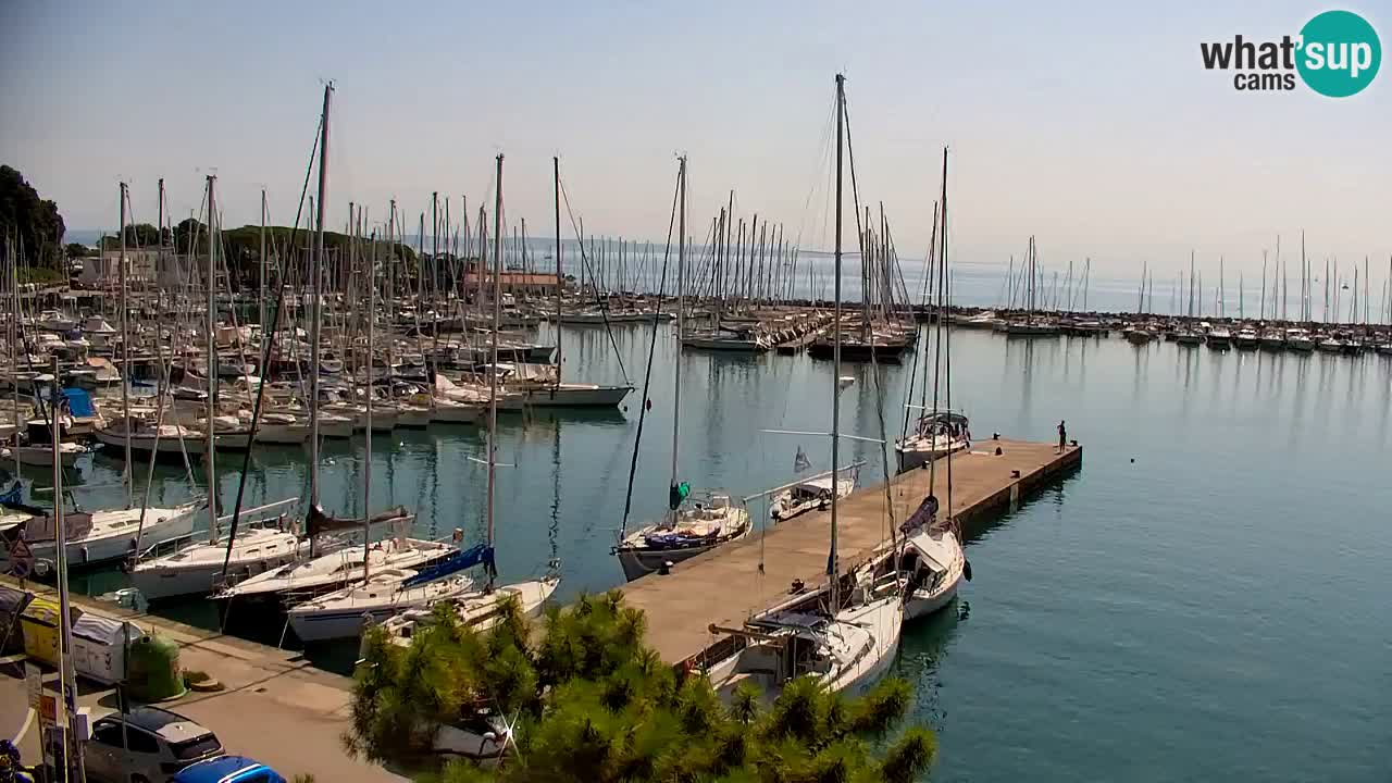 Spletna kamera Sesljanski zaliv – Pogled v živo na marino in zaliv