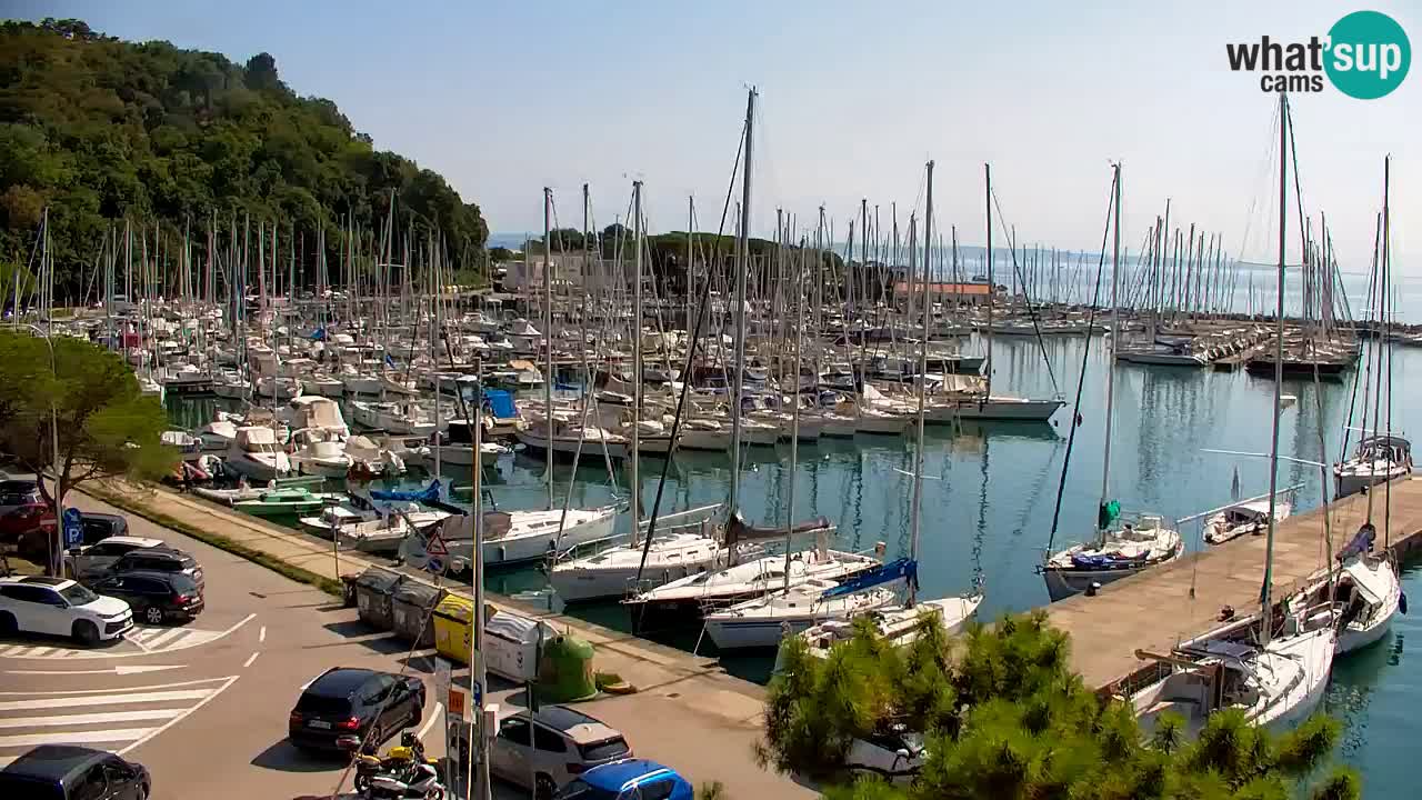 Web kamera Sistiana Uvala – Pogled uživo na marinu i zaljev