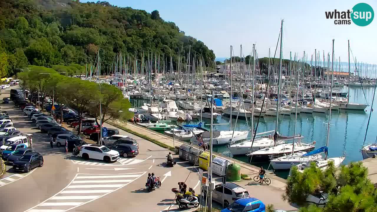 Webcam Bahía de Sistiana – Vista en directo del puerto deportivo y la costa