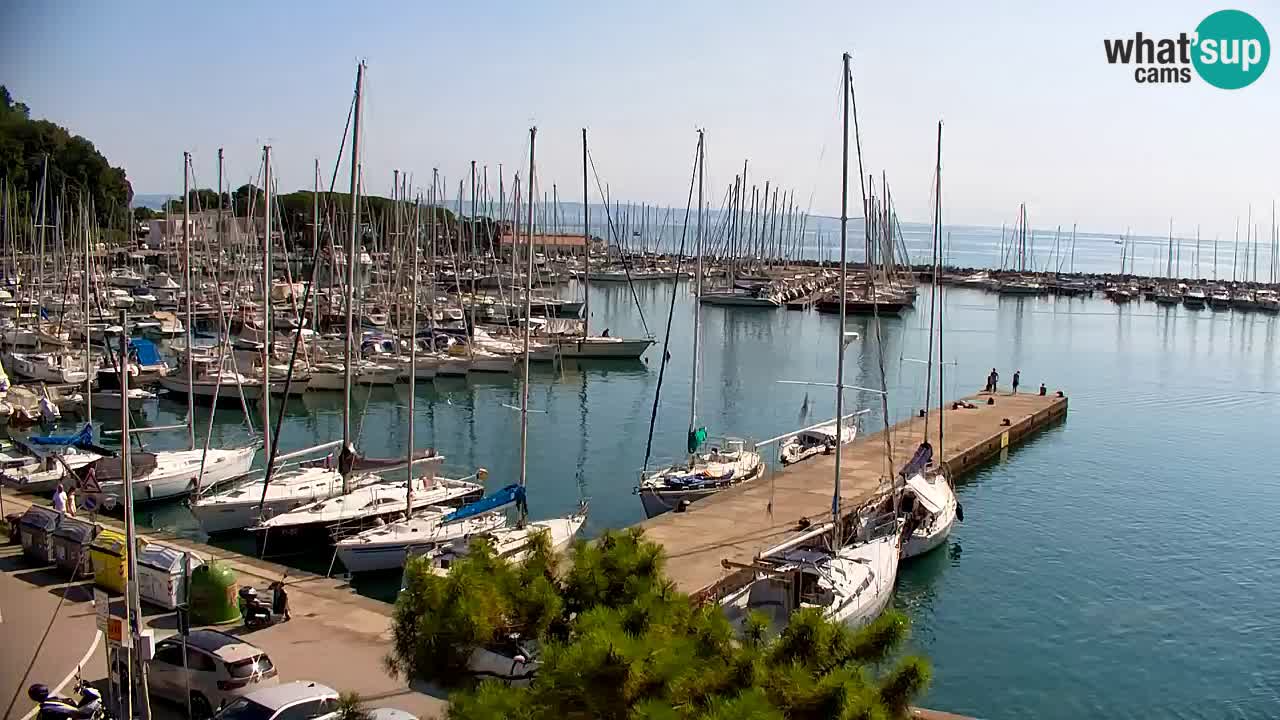 Webcam Sistiana Baia – Live View of the Marina and Gulf