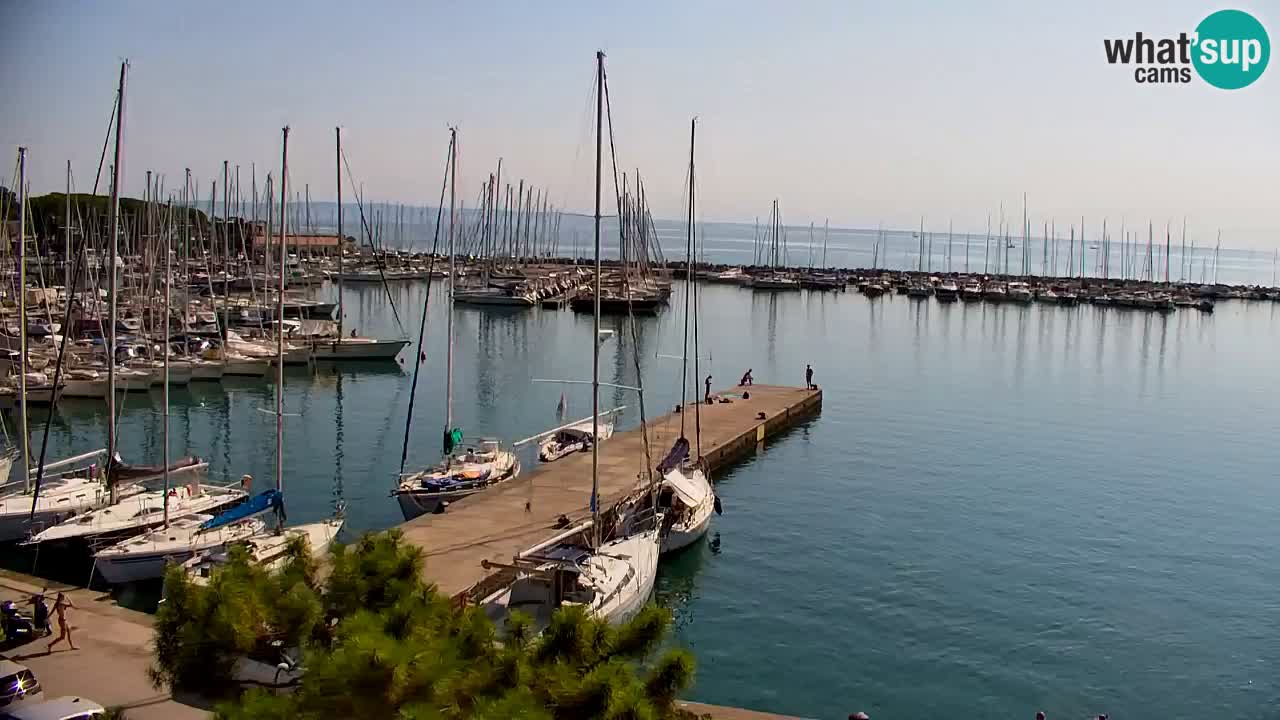 Webcam Baie de Sistiana – Vue en direct de la marina et de la baie