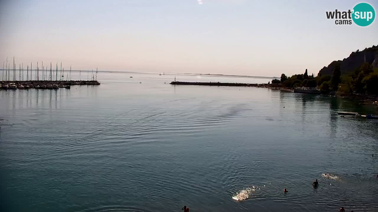Webcam Bahía de Sistiana – Vista en directo del puerto deportivo y la costa