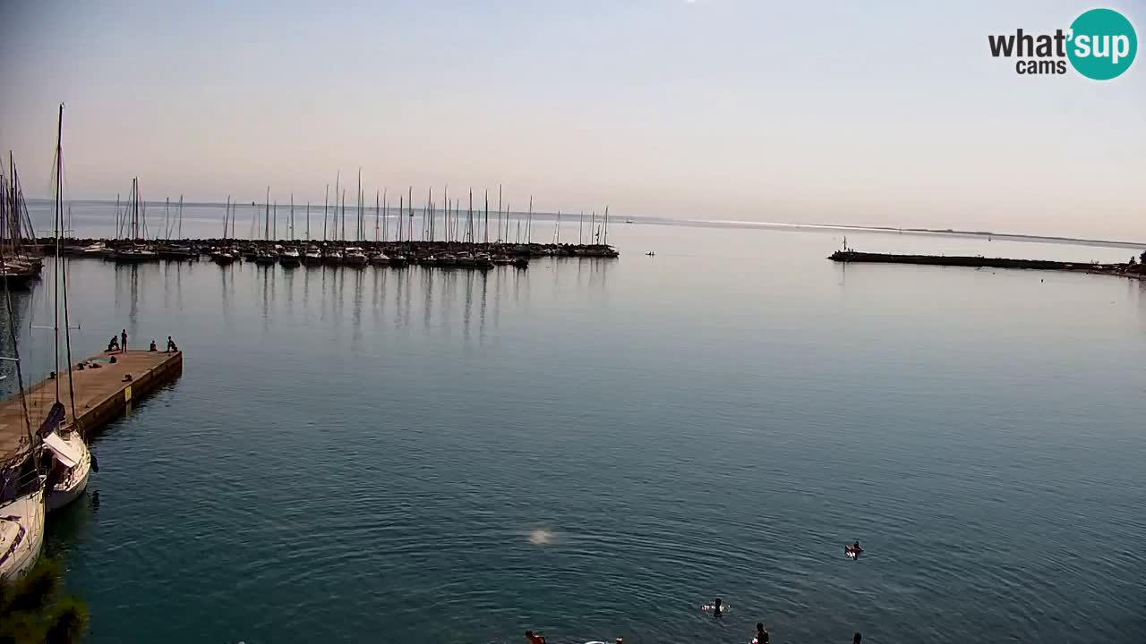 Webcam Sistiana Baia – Live View of the Marina and Gulf