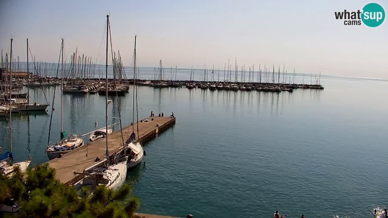 Web kamera Sistiana Uvala – Pogled uživo na marinu i zaljev