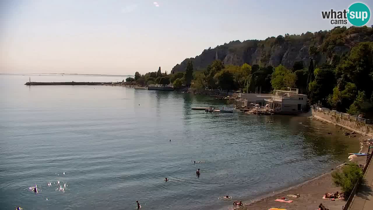 Webcam Sistiana Baia – Live View of the Marina and Gulf