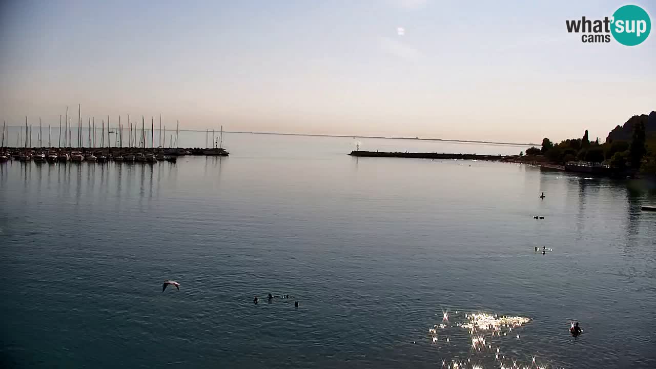 Web kamera Sistiana Uvala – Pogled uživo na marinu i zaljev