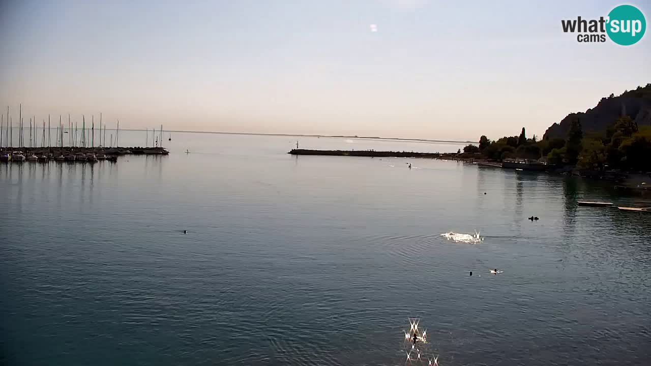 Web kamera Sistiana Uvala – Pogled uživo na marinu i zaljev