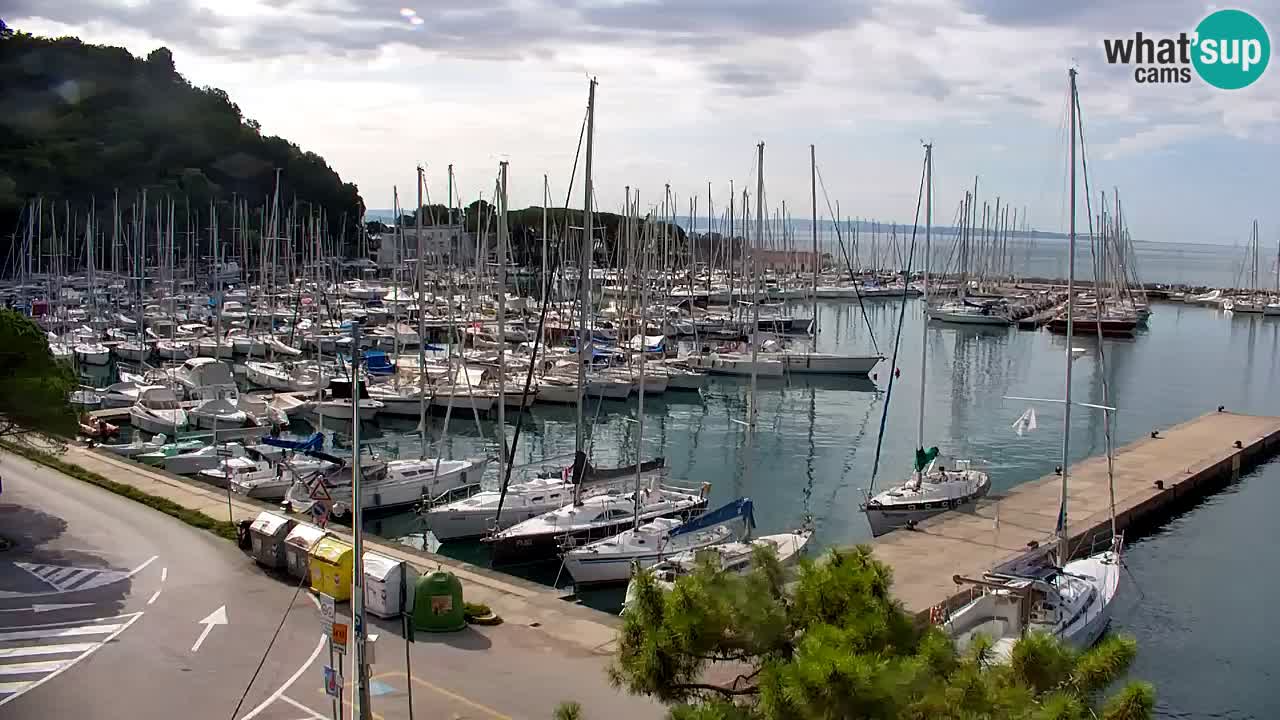 Web kamera Sistiana Uvala – Pogled uživo na marinu i zaljev
