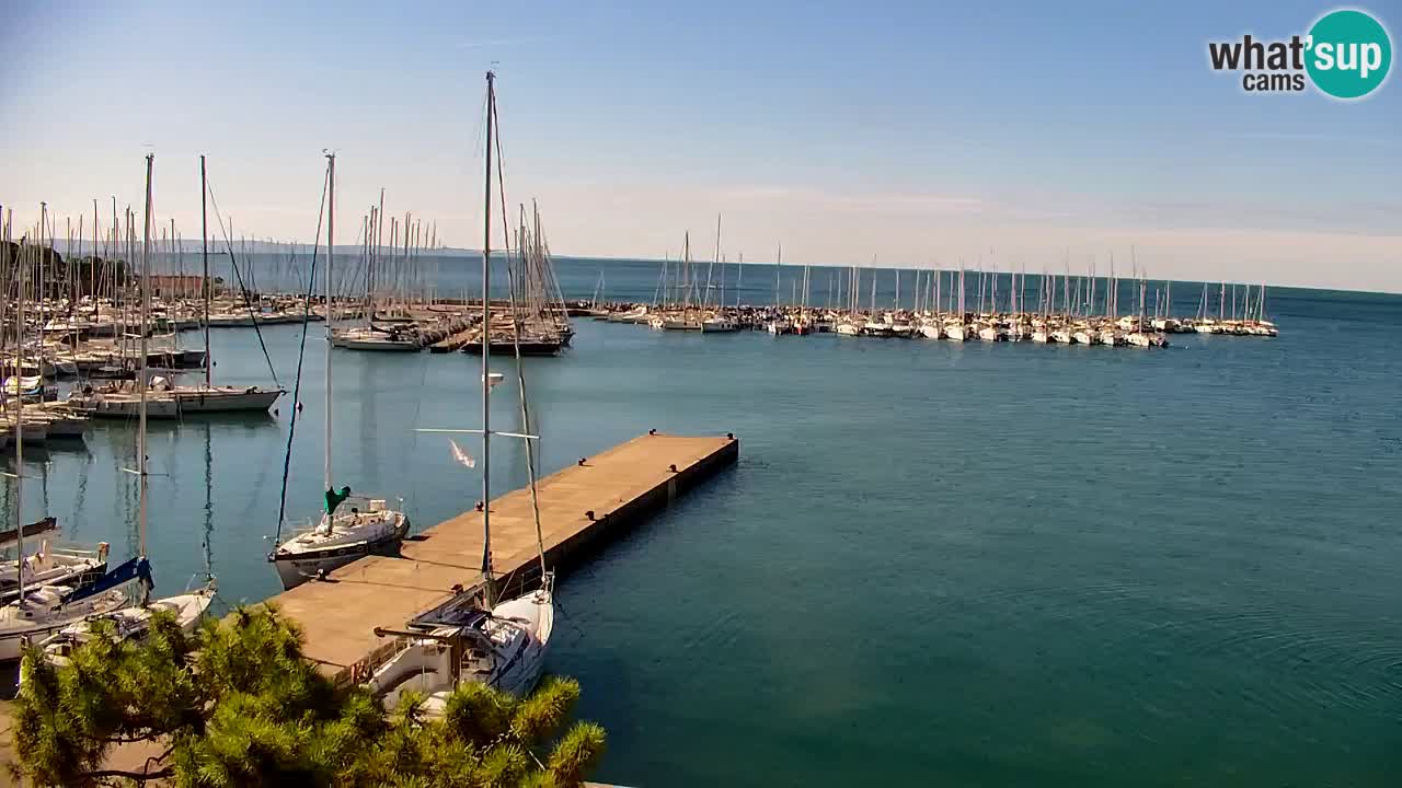 Webcam Baia di Sistiana – Marina e Golfo in diretta
