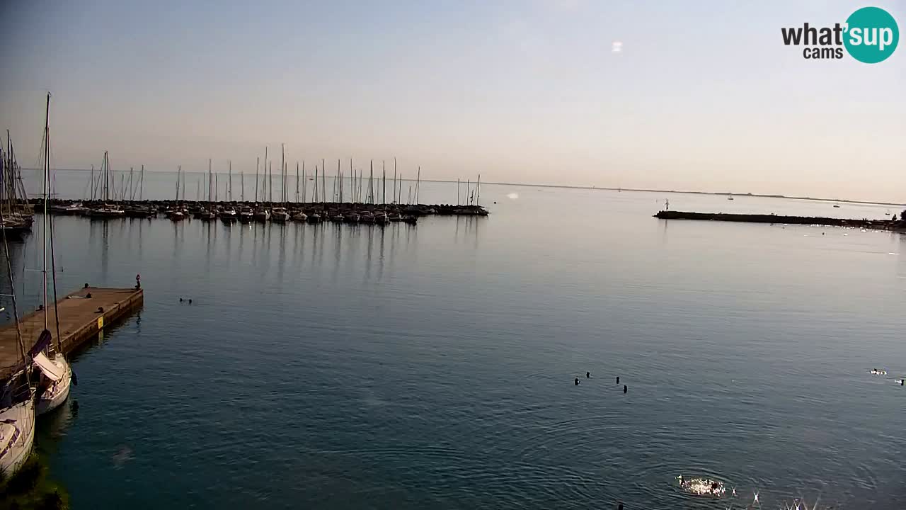 Spletna kamera Sesljanski zaliv – Pogled v živo na marino in zaliv