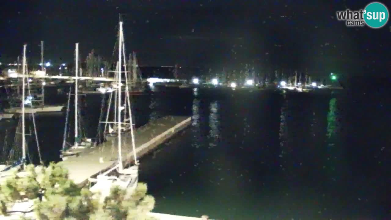 Webcam Sistiana Baia – Live View of the Marina and Gulf