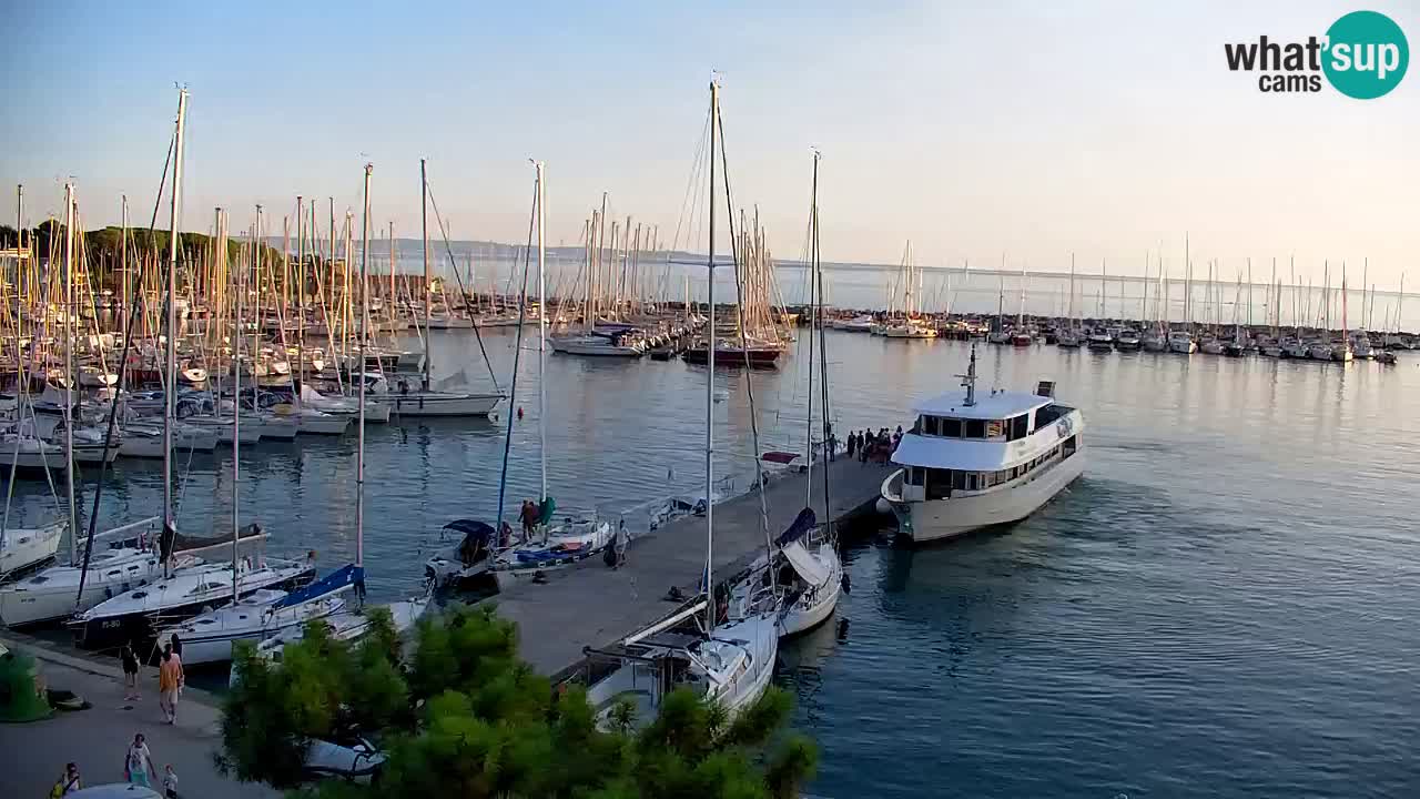 Web kamera Sistiana Uvala – Pogled uživo na marinu i zaljev