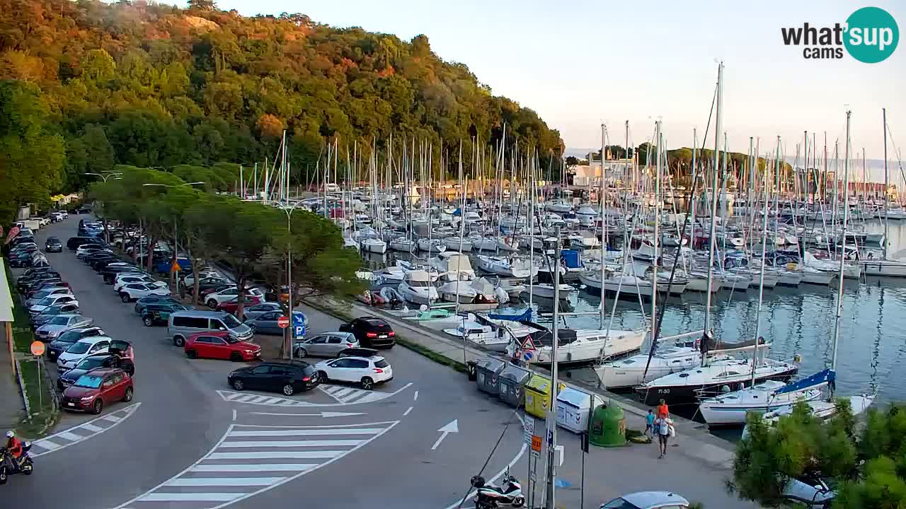Webcam Sistiana Baia – Live View of the Marina and Gulf