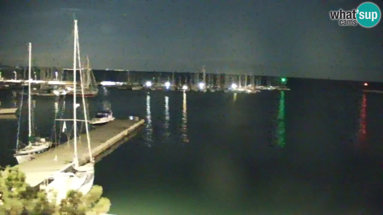 Webcam Sistiana Baia – Live View of the Marina and Gulf