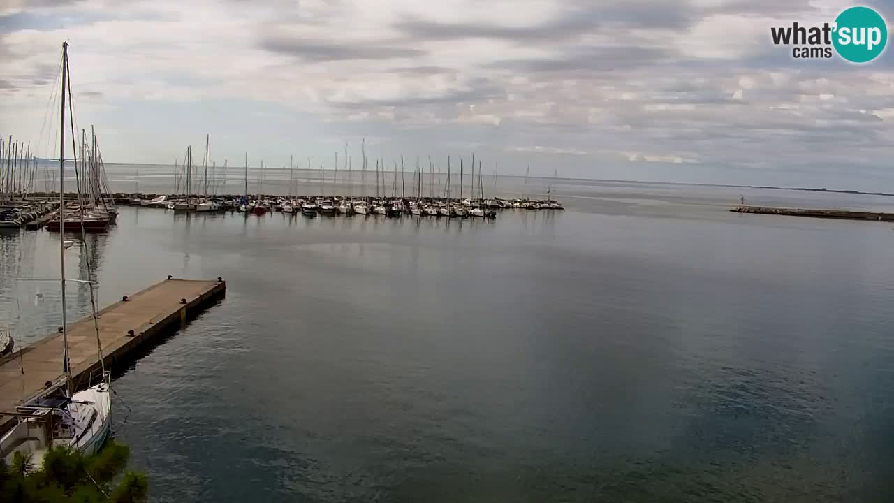 Spletna kamera Sesljanski zaliv – Pogled v živo na marino in zaliv