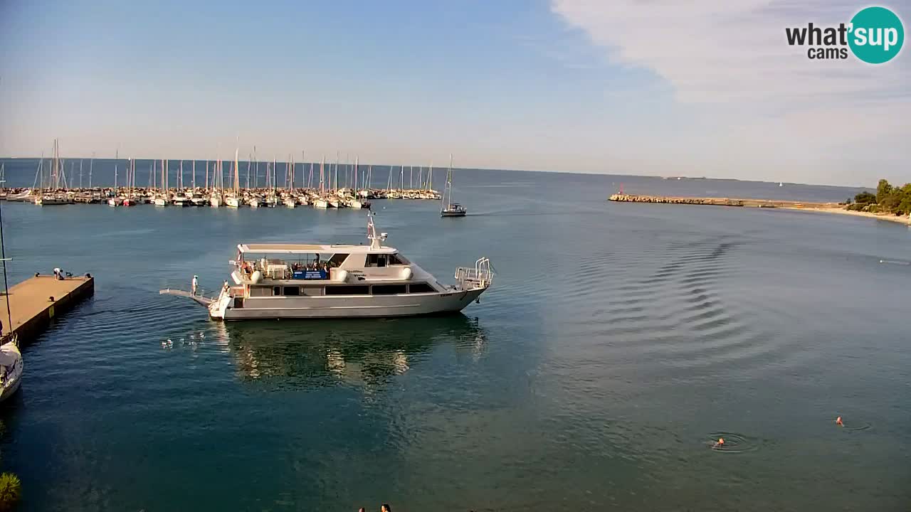 Spletna kamera Sesljanski zaliv – Pogled v živo na marino in zaliv