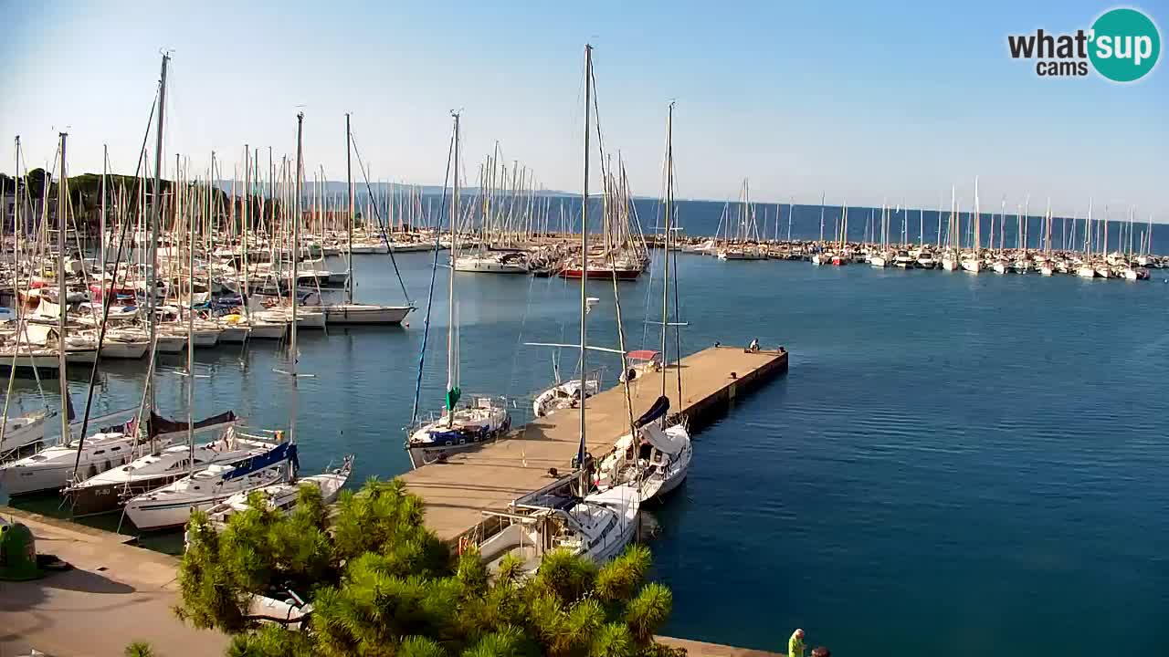 Webcam Sistiana Baia – Live View of the Marina and Gulf